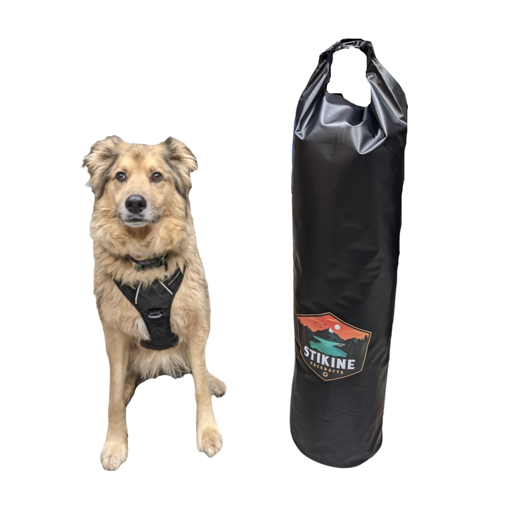 Dry bags for sales dogs